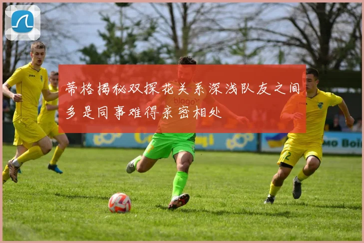蒂格揭秘双探花关系深浅队友之间多是同事难得亲密相处