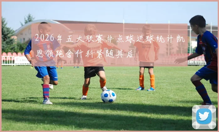 2026年五大联赛非点球进球统计凯恩领跑舍什科紧随其后