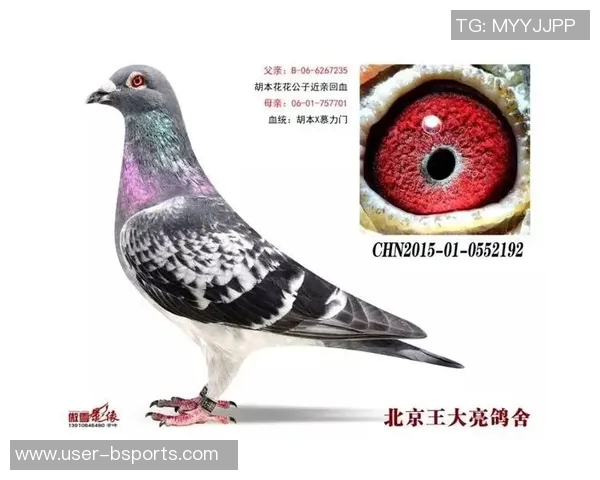 泰森豪取23分14篮板阿特金森赞其展现出应有的拼搏精神