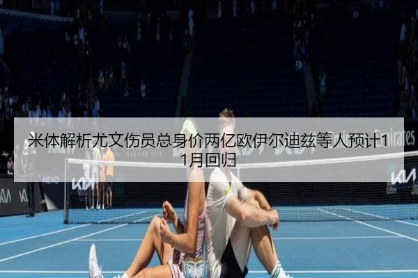 米体解析尤文伤员总身价两亿欧伊尔迪兹等人预计11月回归